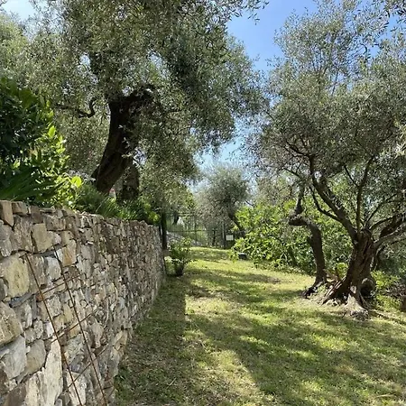 דירה Cosy In Im