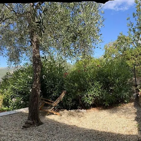 דירה Cosy In Im